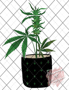 weed 2$ deal file SVG Digital File